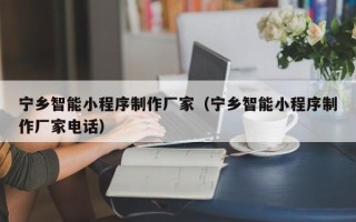 固原宁乡智能小程序制作厂家（宁乡智能小程序制作厂家电话）