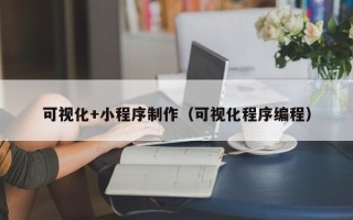 固原可视化+小程序制作（可视化程序编程）
